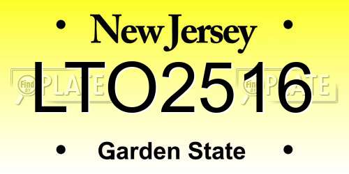 LTO2516 New Jersey License Plate