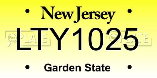 LTY1025 New Jersey License Plate