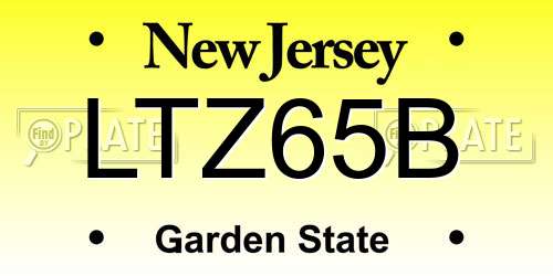 LTZ65B New Jersey License Plate