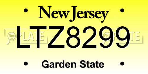 LTZ8299 New Jersey License Plate