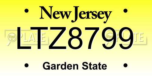 LTZ8799 New Jersey License Plate