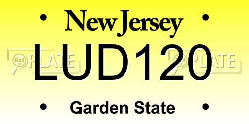 LUD120 New Jersey License Plate