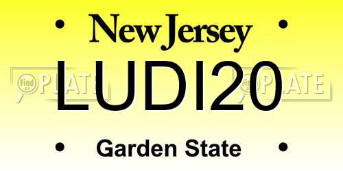 LUDI20 New Jersey License Plate