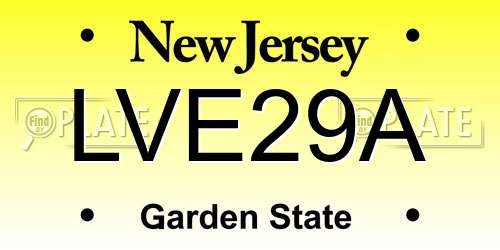 LVE29A New Jersey License Plate