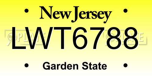 LWT6788 New Jersey License Plate