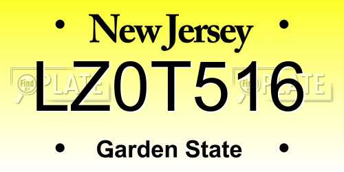 LZ0T516 New Jersey License Plate