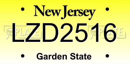 LZD2516 New Jersey License Plate