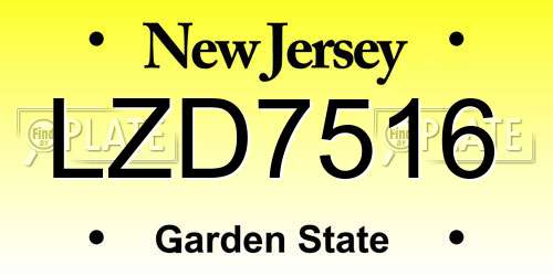 LZD7516 New Jersey License Plate