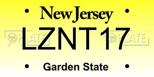 LZNT17 New Jersey License Plate