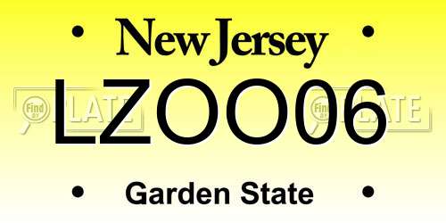 LZOO06 New Jersey License Plate