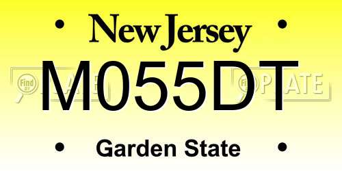 M055DT New Jersey License Plate