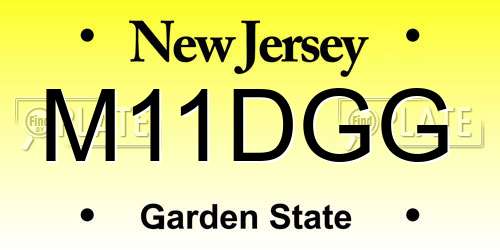 M11DGG New Jersey License Plate