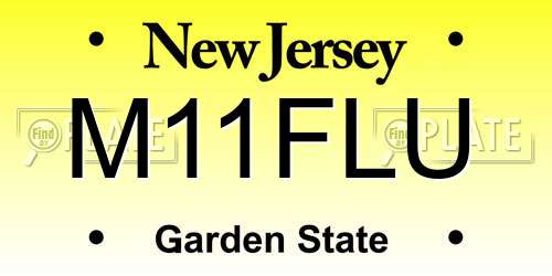M11FLU New Jersey License Plate