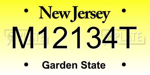 M12134T New Jersey License Plate