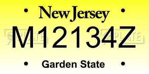 M12134Z New Jersey License Plate