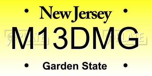 M13DMG New Jersey License Plate