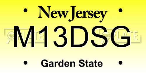 M13DSG New Jersey License Plate
