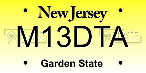 M13DTA New Jersey License Plate