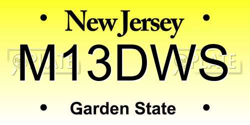 M13DWS New Jersey License Plate
