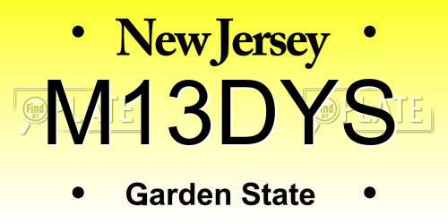 M13DYS New Jersey License Plate