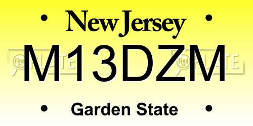 M13DZM New Jersey License Plate