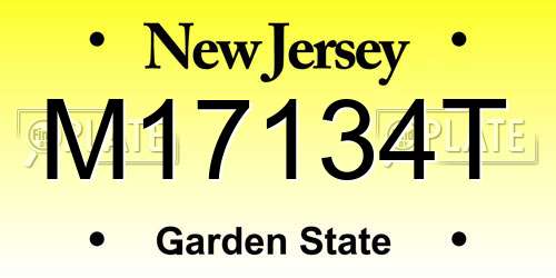 M17134T New Jersey License Plate