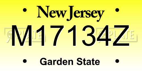 M17134Z New Jersey License Plate
