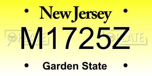 M1725Z New Jersey License Plate