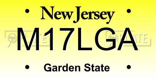 M17LGA New Jersey License Plate