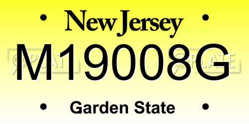 M19008G New Jersey License Plate