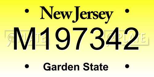 M197342 New Jersey License Plate