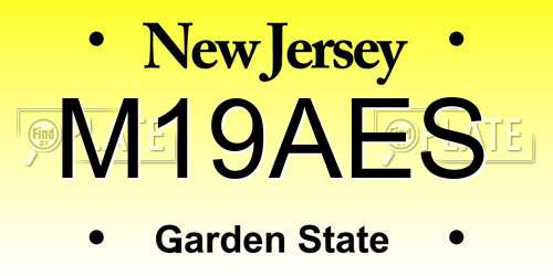M19AES New Jersey License Plate
