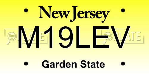 M19LEV New Jersey License Plate