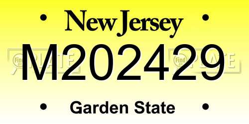 M202429 New Jersey License Plate