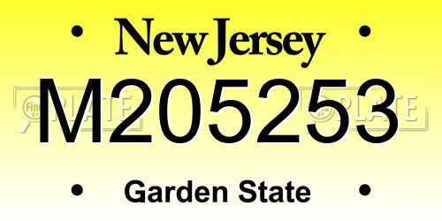 M205253 New Jersey License Plate