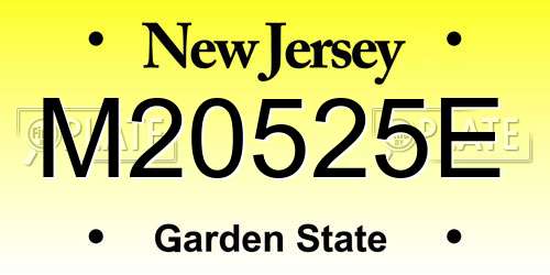 M20525E New Jersey License Plate
