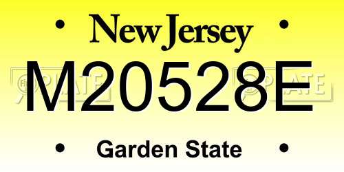 M20528E New Jersey License Plate