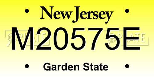 M20575E New Jersey License Plate