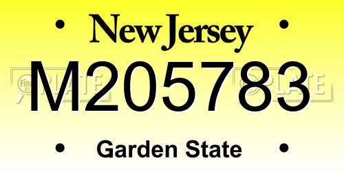 M205783 New Jersey License Plate