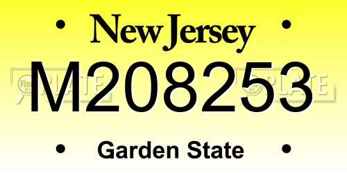 M208253 New Jersey License Plate