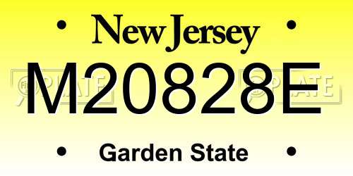 M20828E New Jersey License Plate