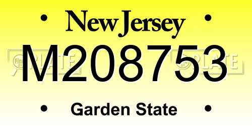 M208753 New Jersey License Plate