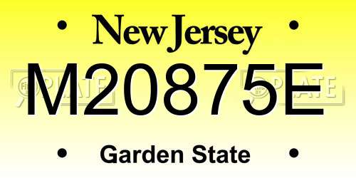 M20875E New Jersey License Plate