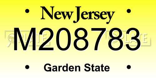 M208783 New Jersey License Plate