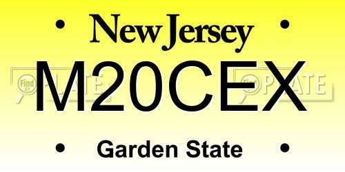 M20CEX New Jersey License Plate