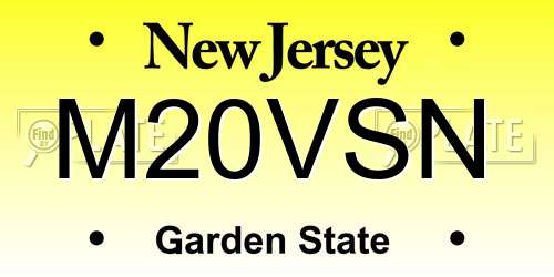 M20VSN New Jersey License Plate