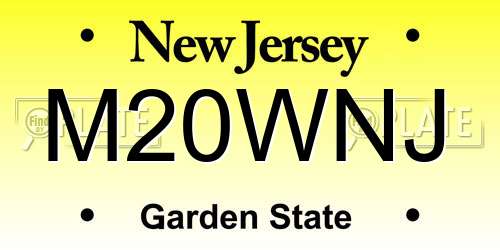 M20WNJ New Jersey License Plate