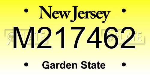 M217462 New Jersey License Plate