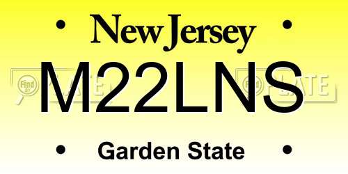 M22LNS New Jersey License Plate