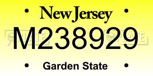 M238929 New Jersey License Plate